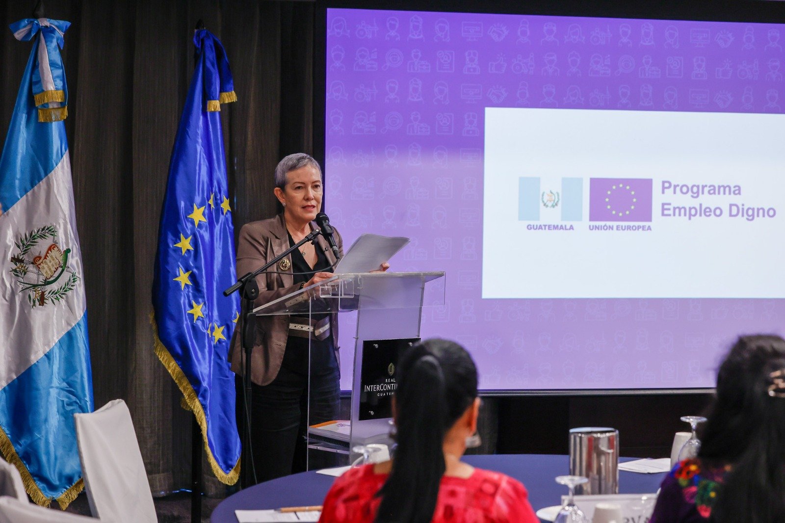 Viceministra de Desarrollo de la MIPYME, Elizabeth Ugalde