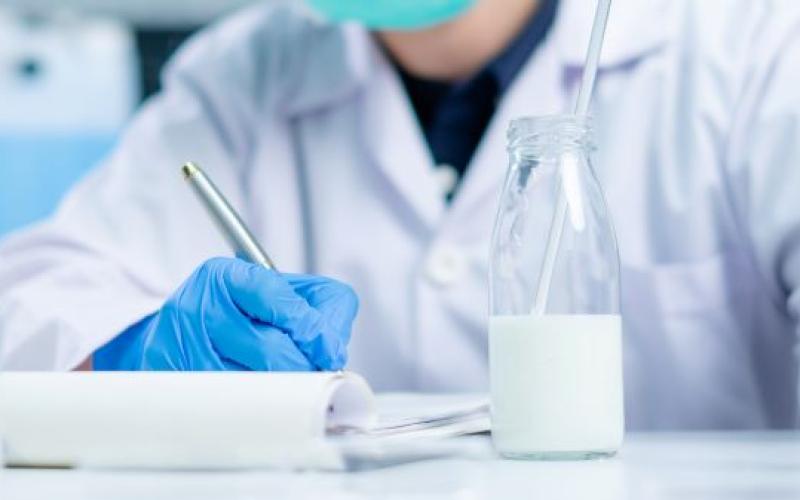 Empresas guatemaltecas de productos lácteos podrán exportar hacia Honduras